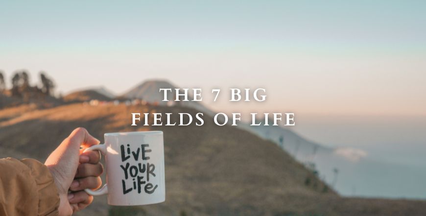The Big 7 Fields of Life